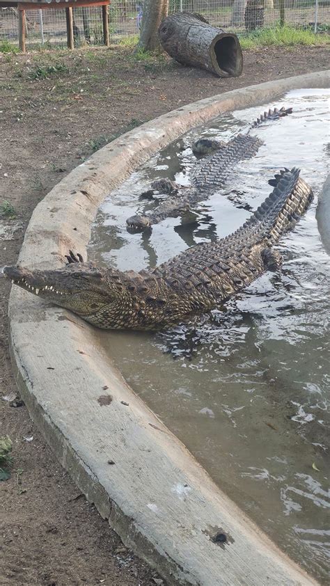 Source Code Lab に対する画像結果