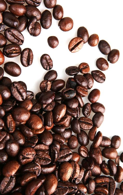 Image result for Java Jam Cofee