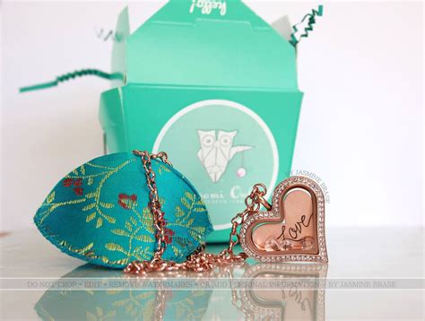 Origami Owl Heart Locket に対する画像結果