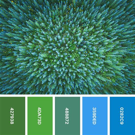 Image result for Awesome Color Palette