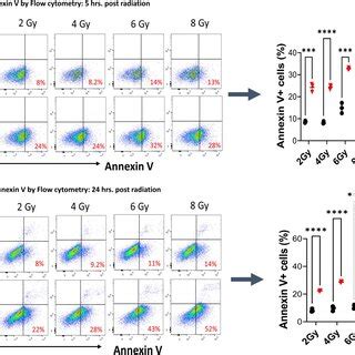 Image result for Annexin Assay