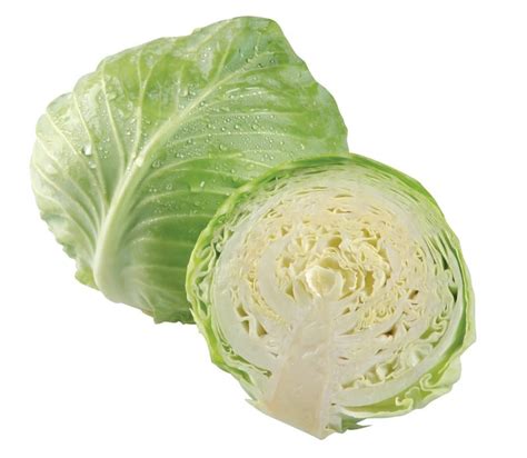 Image result for Cabbage