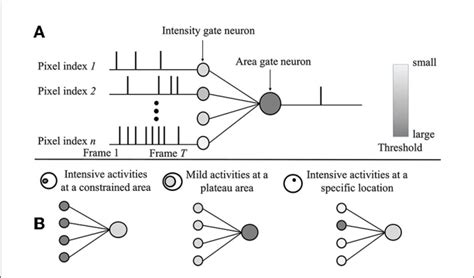 Image result for Spiking Neural Network SNN