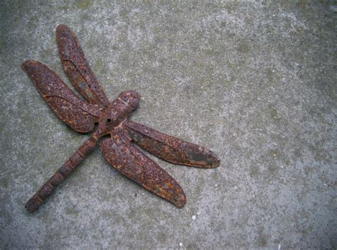 Rusty Objects に対する画像結果