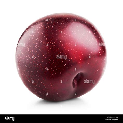 Image result for Red Plum Fruit