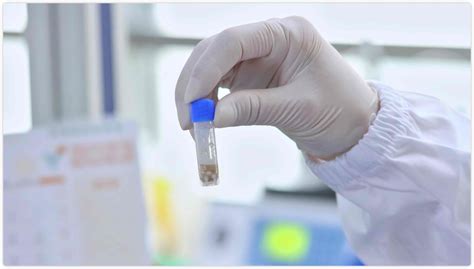 Image result for Hair Sample Drug Test