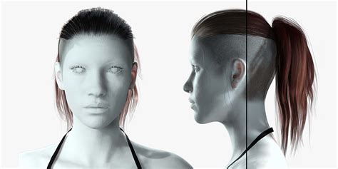 Blender Mesh Tail के लिए छवि परिणाम