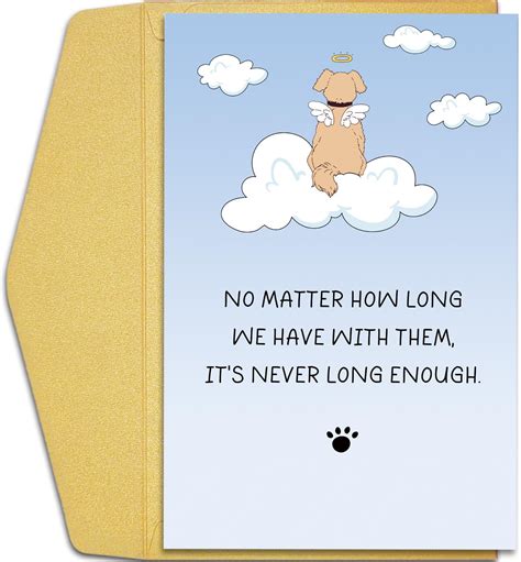 Image result for Doy Lossy