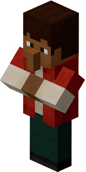 Image result for NPC Java Minecraft