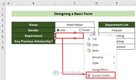 Image result for Creating Form Style in Excel