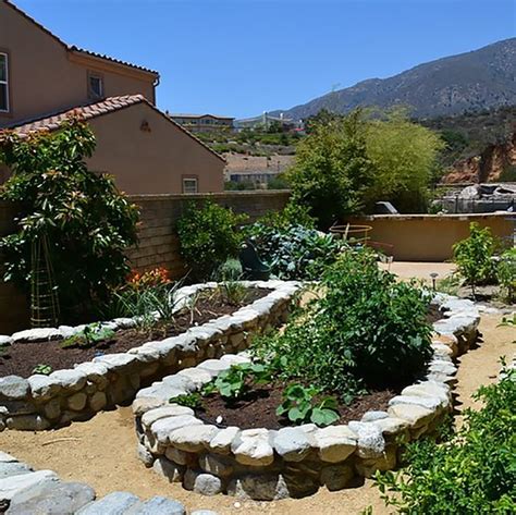 Image result for Planting in Landscape Construction