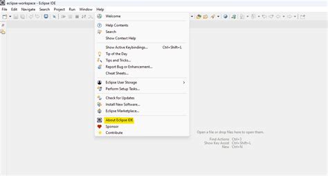 Afbeeldingsresultaten voor Java Eclipse Release Date