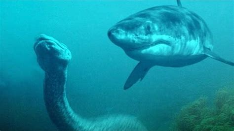 Toradh íomhá ar Anaconda Python 3.9