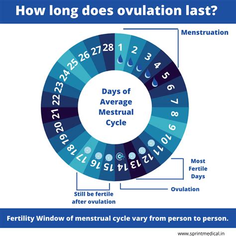 Afbeeldingsresultaten voor Period Ovulation Cycle Chart