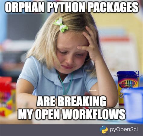 Image result for No Crying in Python Meme