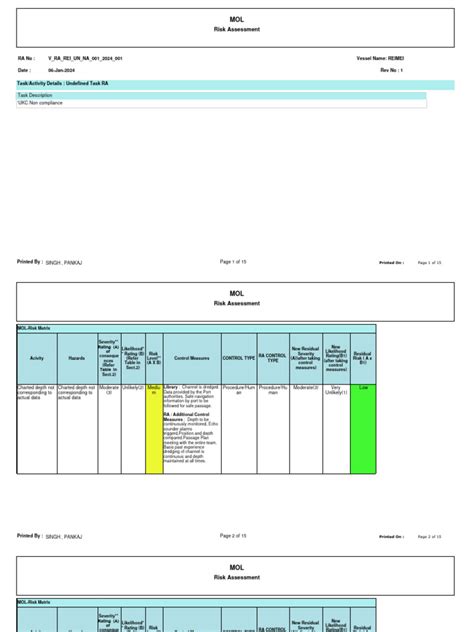 Image result for UK MCA Risk Assessment Form PDF
