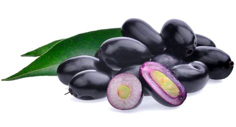 Image result for Java Plum or Jamun