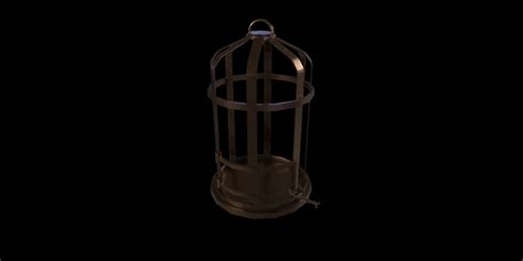 Image result for Bird Cage Game Roblox