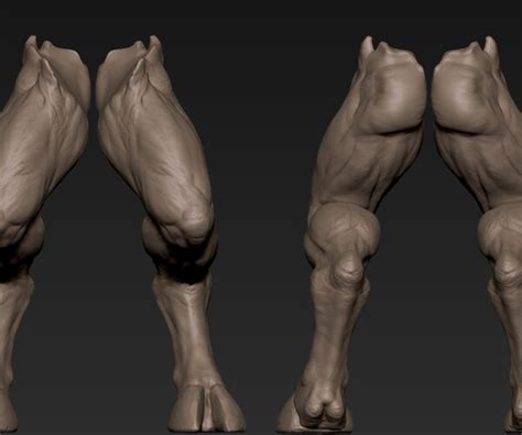 Image result for Creature Legs Reference 3D Model