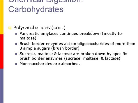 Image result for Digestion of Polysacchride