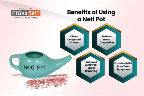 Pink Himalayan Salt Neti Pot - A Useful Guide