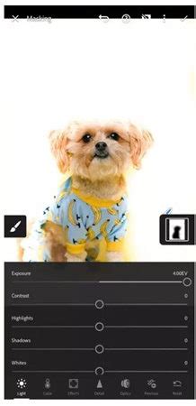 Adobe Lightroom Remove Background に対する画像結果