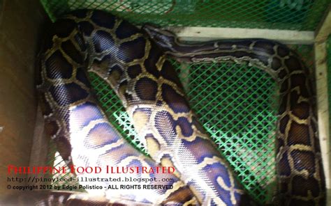 Image result for Sawa O Python