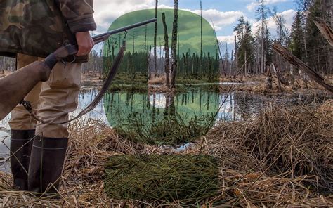 Afbeeldingsresultaten voor Hunting Animals