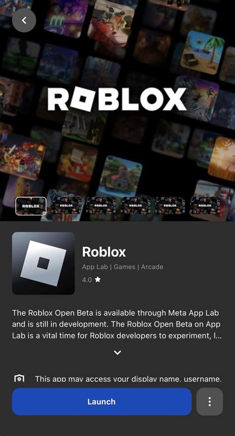 Image result for Roblox Meta Quest 2 App Lab
