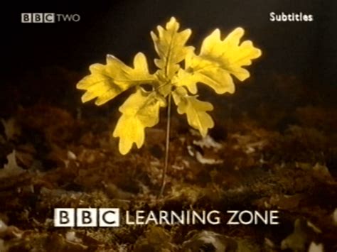 Toradh íomhá ar Being in the Learning Zone