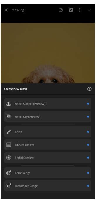 Adobe Lightroom Remove Background に対する画像結果