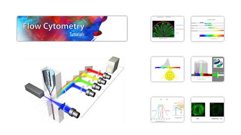 Flow Cytometry Tutorial కోసం చిత్ర ఫలితం