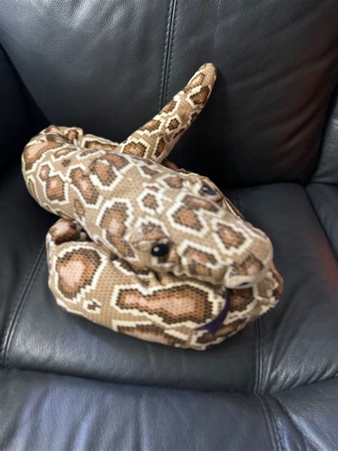 Image result for Python Plush