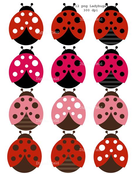 Image result for Clip Art Ladybug