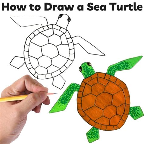 Afbeeldingsresultaten voor Sea Turtle Drawing Steps