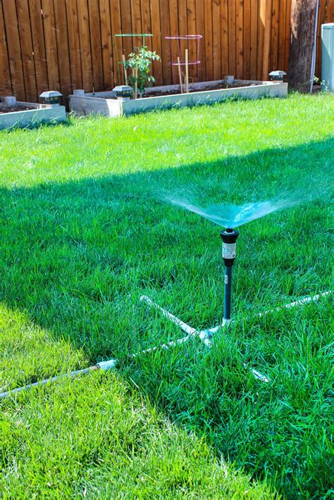 Image result for Above Ground PVC Sprinkler System