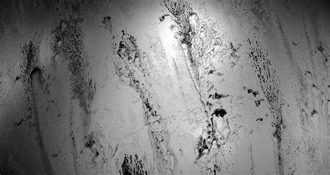 Quixel Logo に対する画像結果