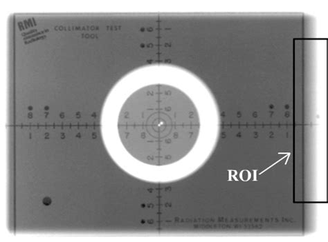 Image result for ImageJ Plot Profile Stack