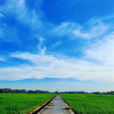 Toradh íomhá ar Java Land Gas Field