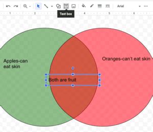 Image result for How to Draw a Venn Diagram in Google Docs