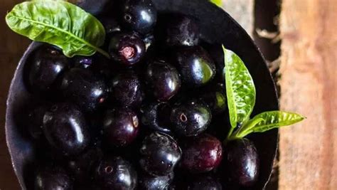 Image result for Java Plum Churna