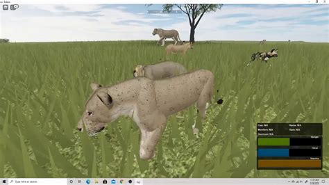 Image result for Roblox Testing C