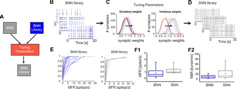 Image result for Spiking Neural Network SNN