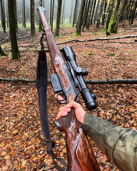 Toradh íomhá ar Koen Hunting