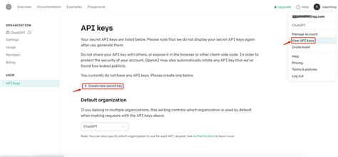Chatgpt API Key Billing Currency に対する画像結果