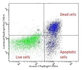 Image result for Annexin Assay