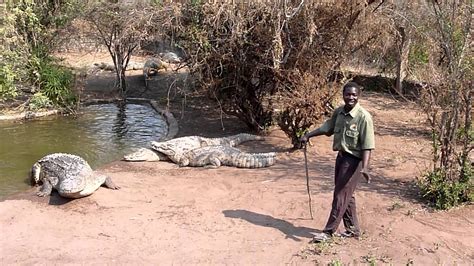 Source Code Lab に対する画像結果