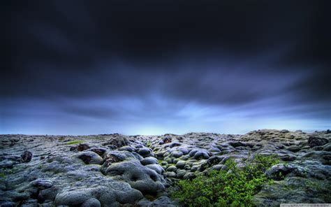 Image result for Dark Design Admin Panel