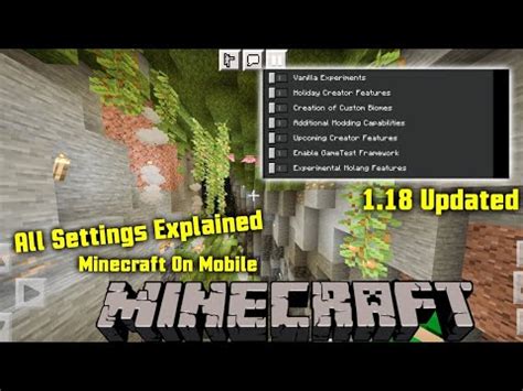 Image result for Java Minecraft Pro Settings