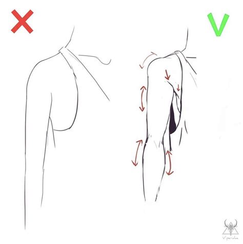 Simple Muscle Drawing に対する画像結果